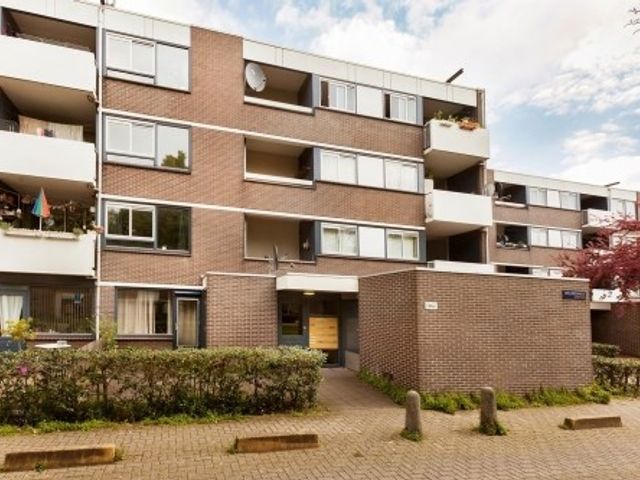 Millingenhof , Amsterdam