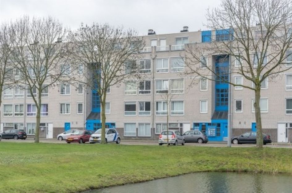 Bernard Shawsingel 