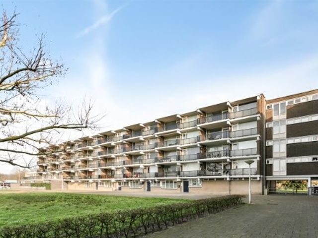 Loplein , Arnhem
