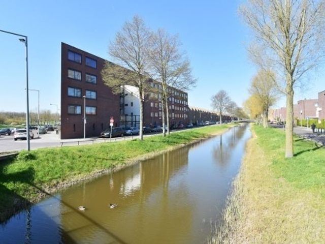Snoekbaarssingel , Den Haag