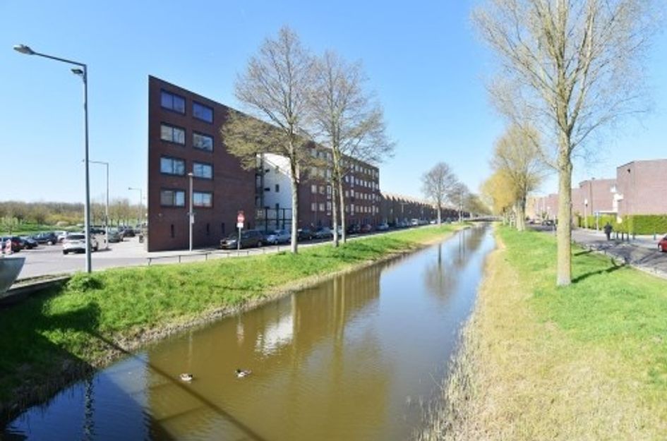 Snoekbaarssingel 
