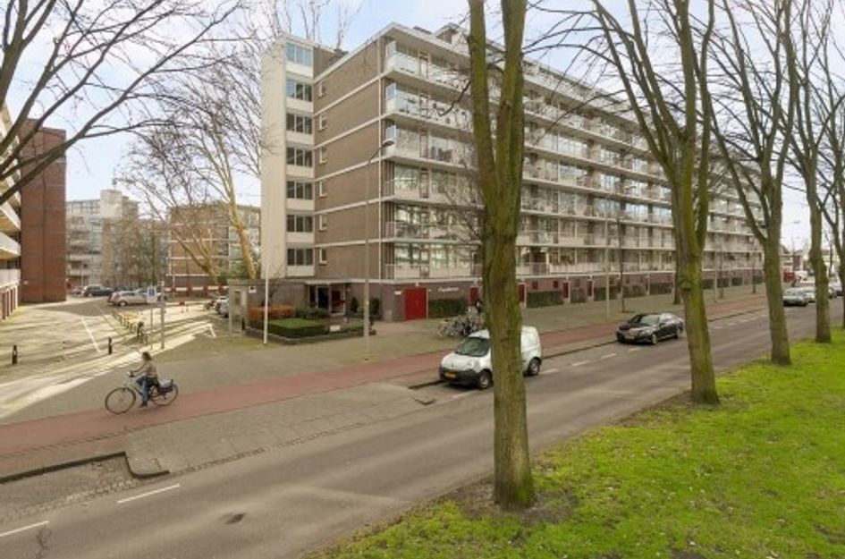Volendamlaan 