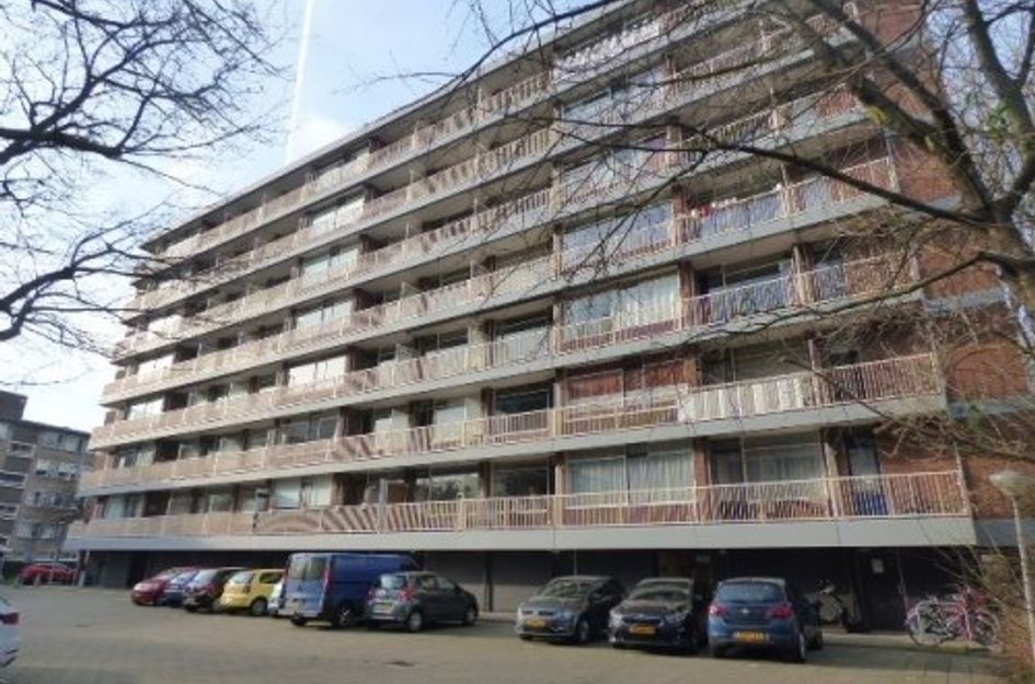 Kornalijnhorst 