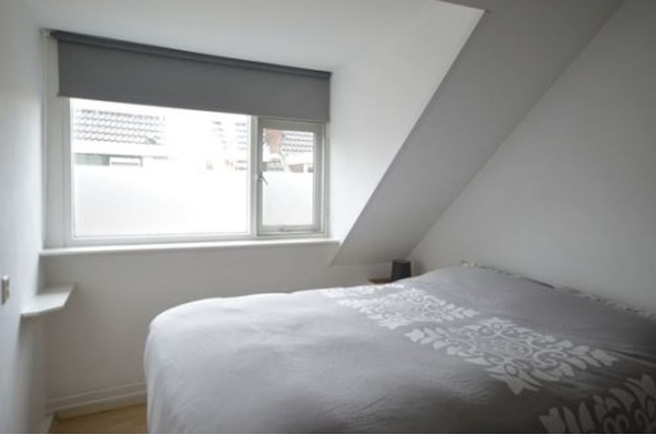 Breitnerlaan 