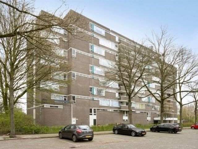 Maalakker , Eindhoven