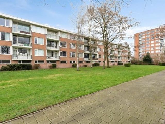 Pisanostraat , Eindhoven