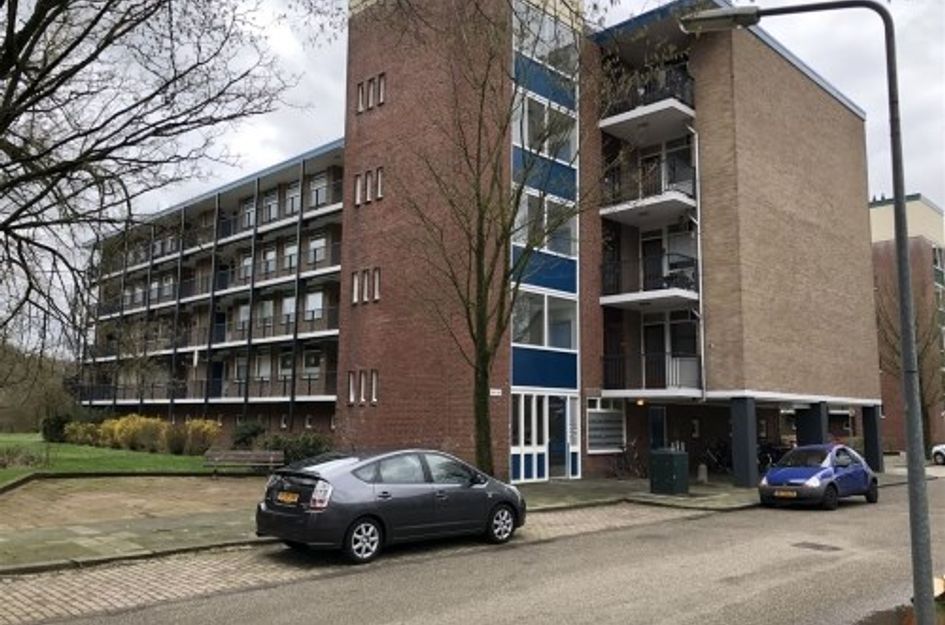 Banckertlaan 