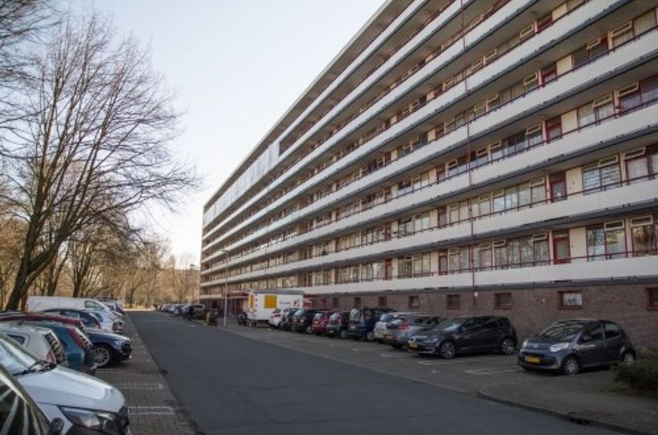 Korfoedreef 