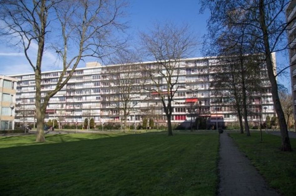 Korfoedreef 
