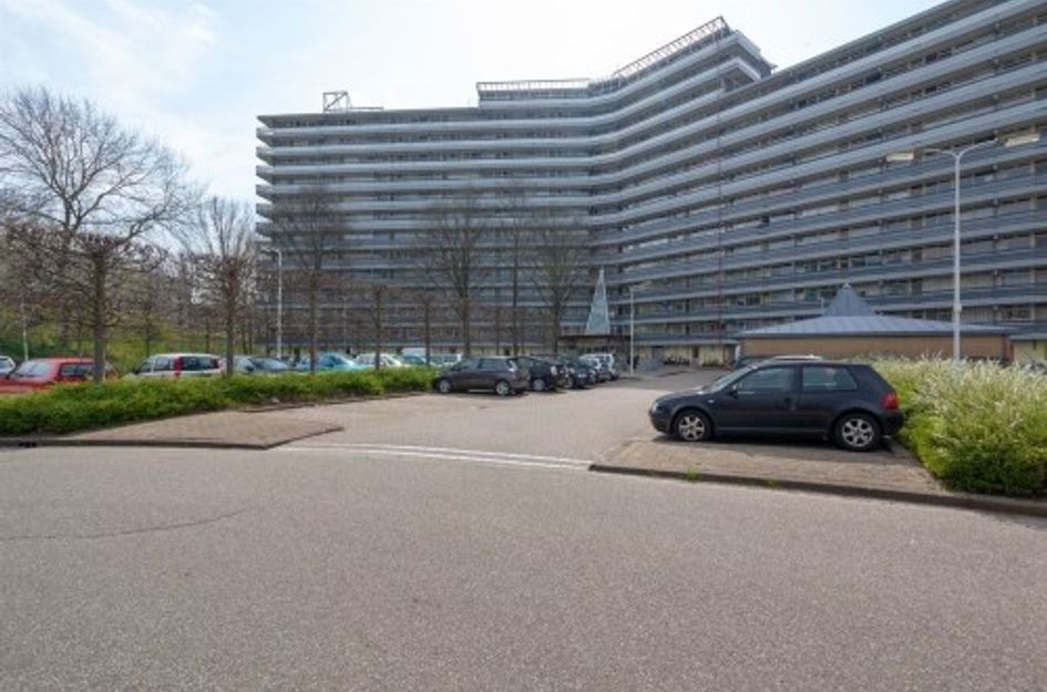 Zalkerbos 
