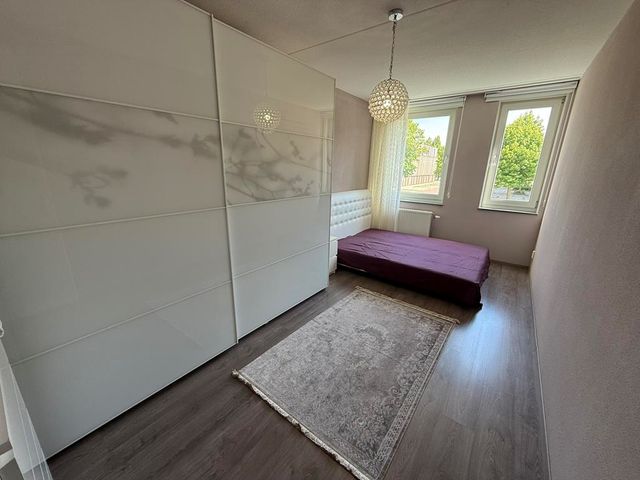 Eliza van Calcarstraat 3, Amsterdam