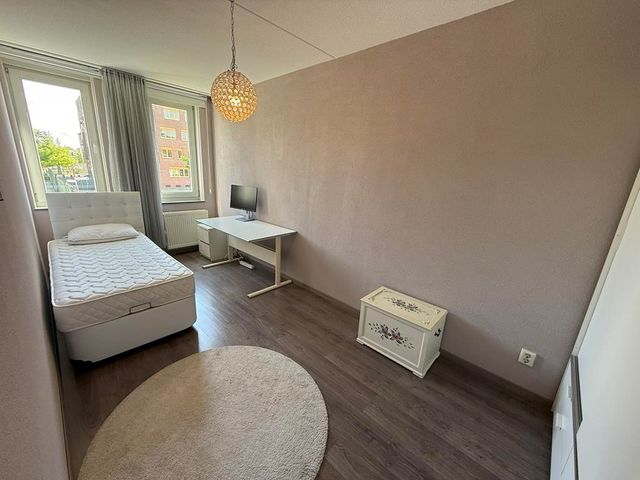 Eliza van Calcarstraat 3, Amsterdam