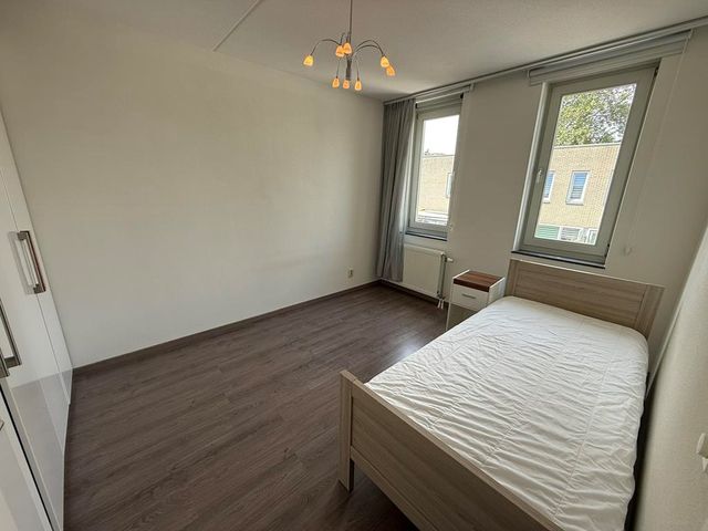Eliza van Calcarstraat 3, Amsterdam