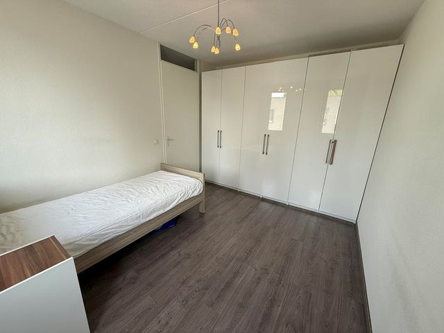 Eliza van Calcarstraat 3, Amsterdam