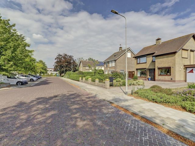 Pluimpot 4, Hansweert