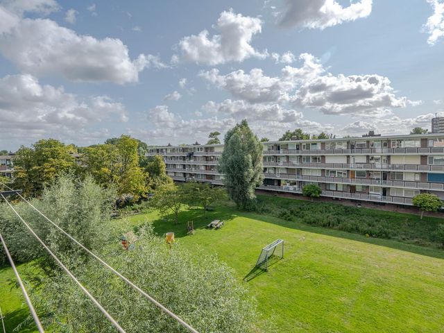 van der Werffstraat 246, Vlaardingen