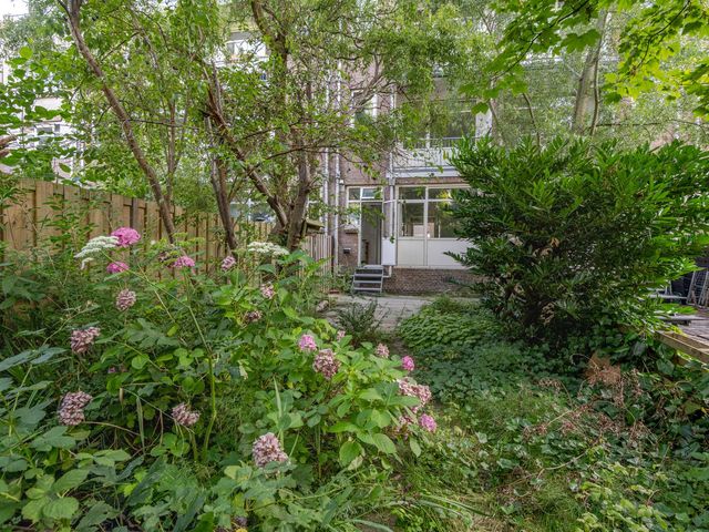 Insulindestraat 51B, Rotterdam