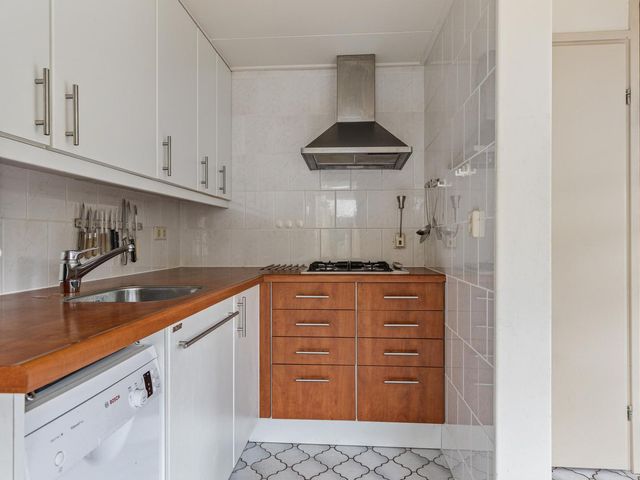Duinschooten 12 039, Noordwijkerhout