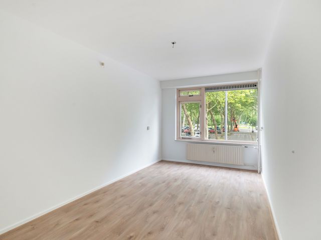 Van Bassenstraat 114, Rotterdam