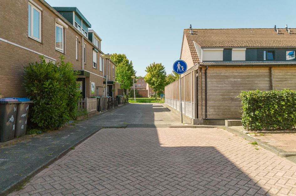 Troelstrapad 11