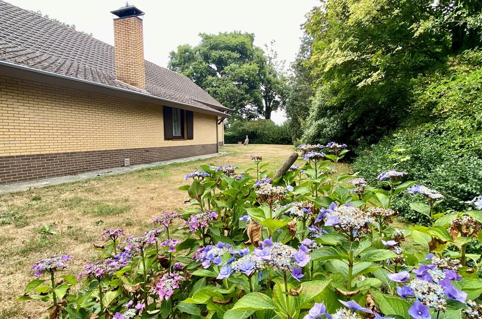 Groeneweg 8
