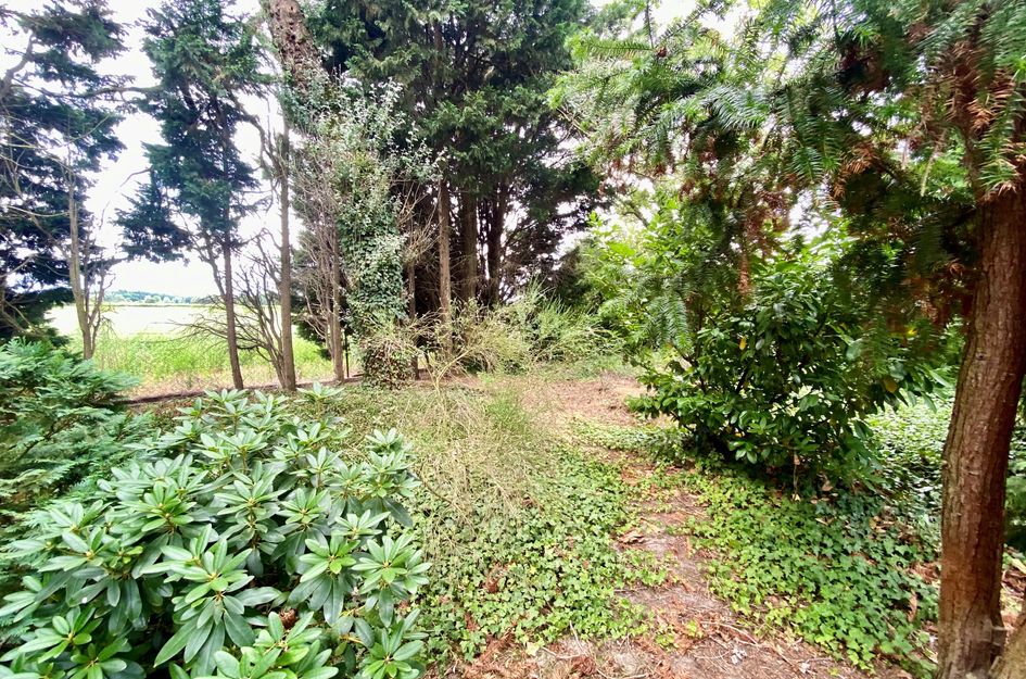 Groeneweg 8