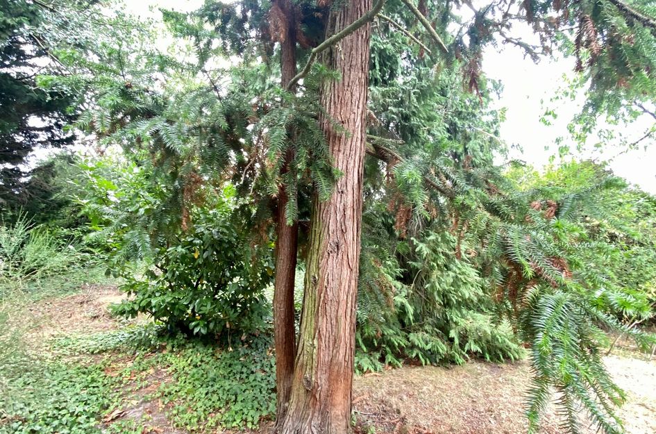 Groeneweg 8