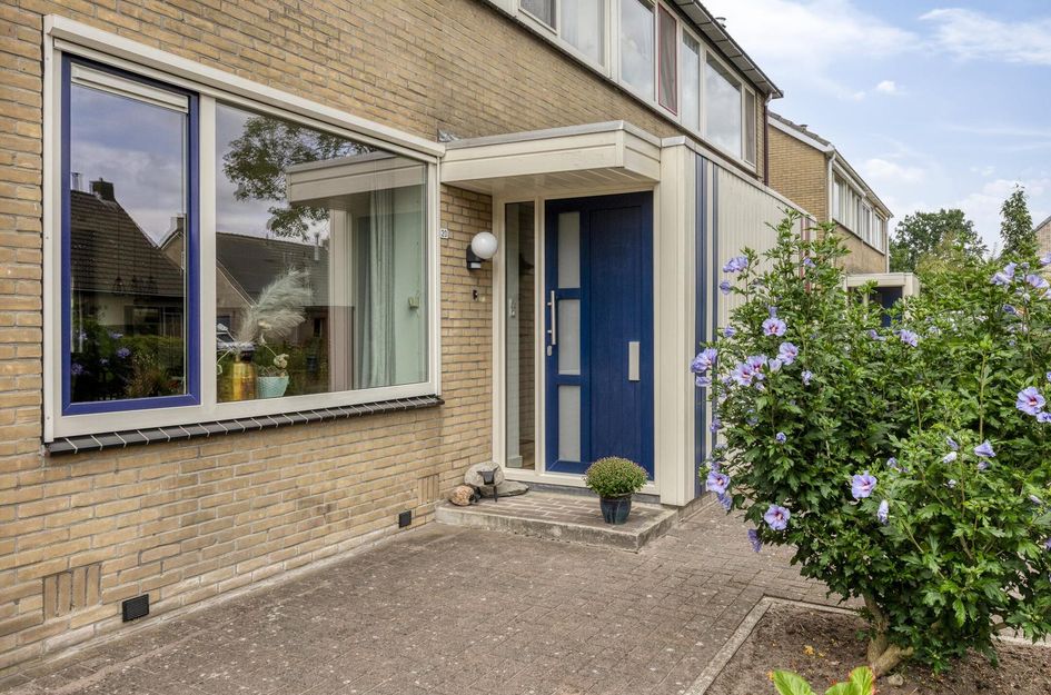 Ter Borghstraat 20