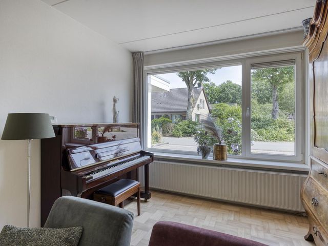 Ter Borghstraat 20, Sleen
