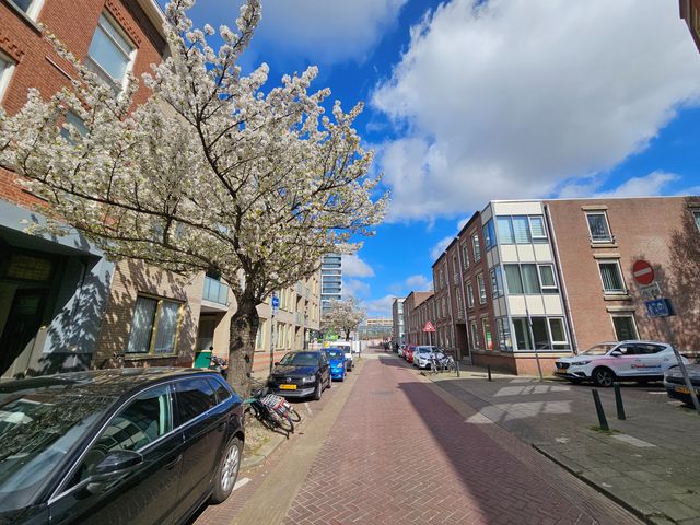 Singel 163A1, Schiedam
