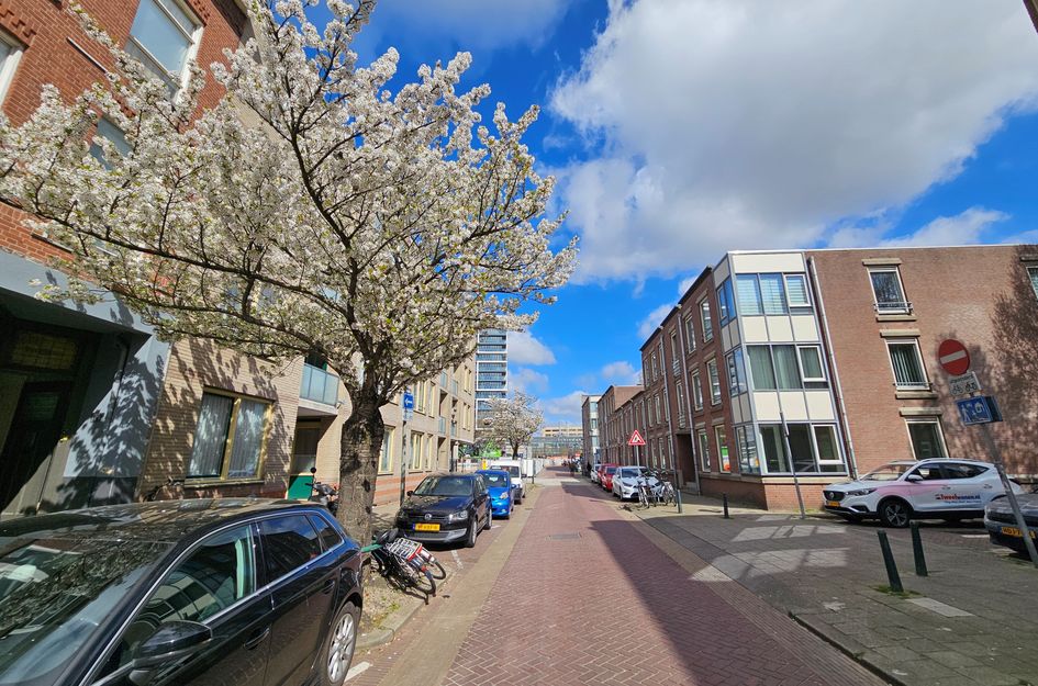 Singel 163A1