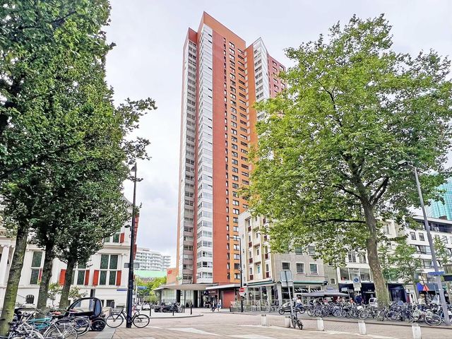 Bulgersteyn 7147, Rotterdam