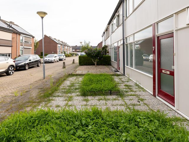 Prof.Van der Leeuwstraat 7, 'S-Heerenberg