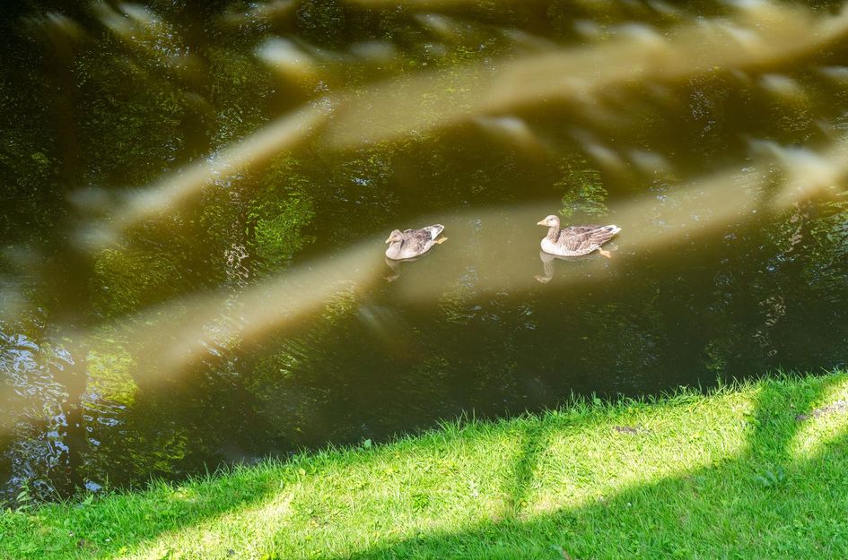 Jupiterstraat 118