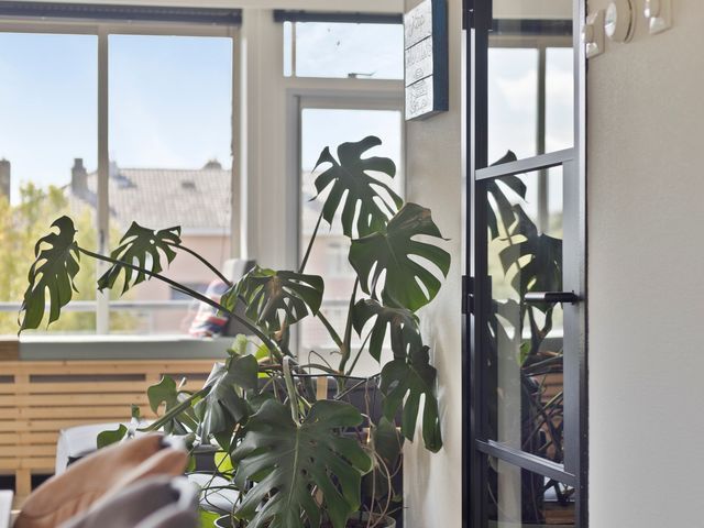 Adriaan Kluitstraat 9 3, Amsterdam