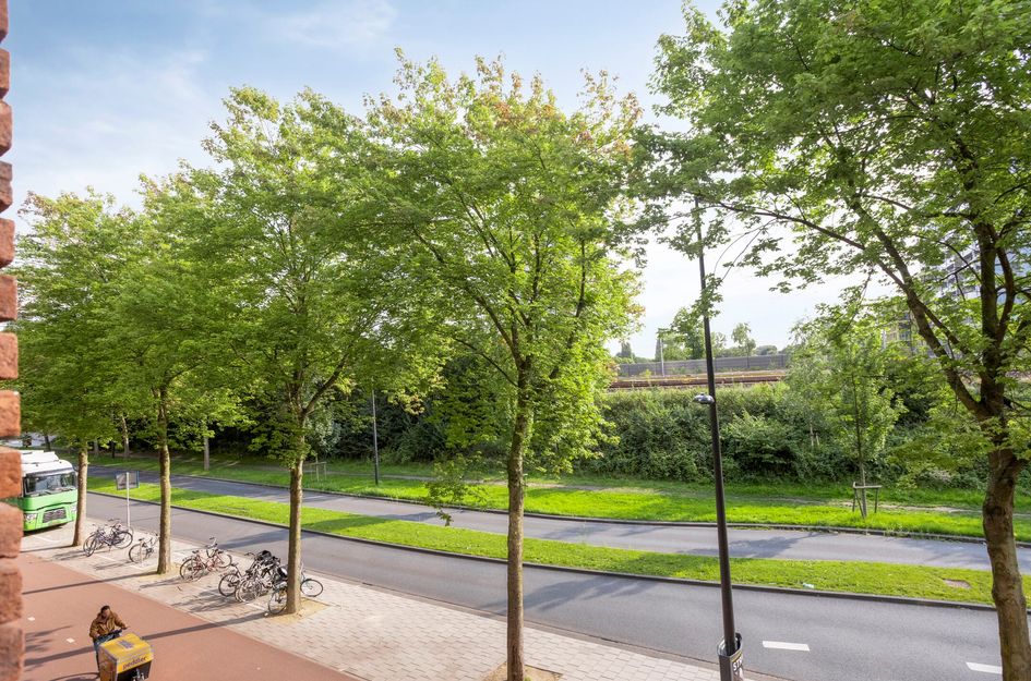 Welnastraat 31