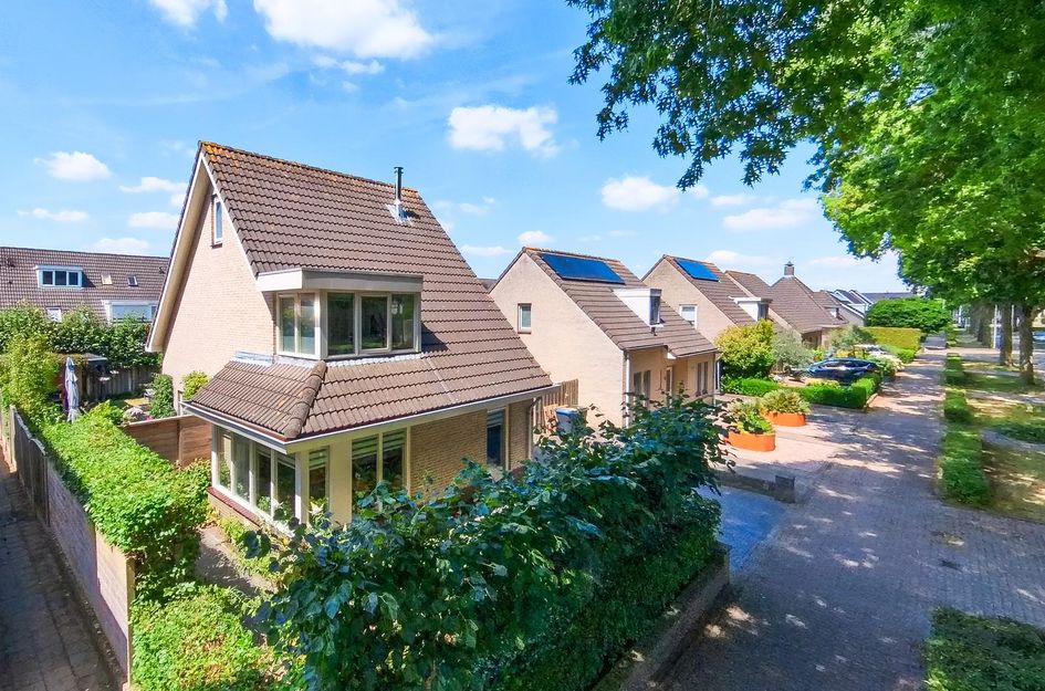 Hoge Witsiestraat 63