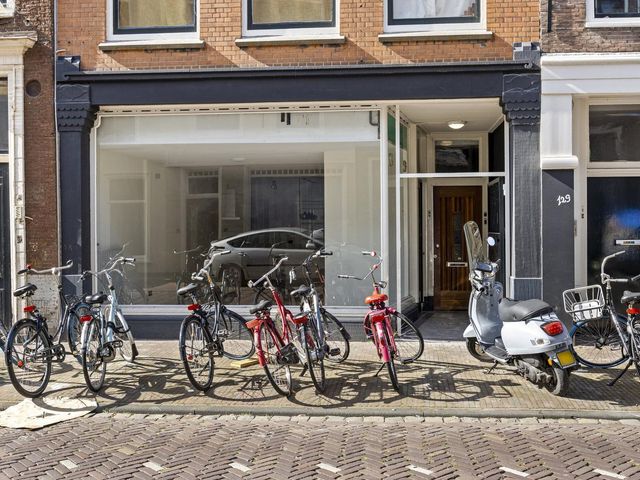 Hogewoerd 131, Leiden