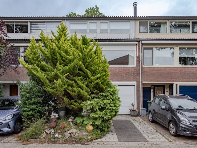 Schepenen 32, Hoorn