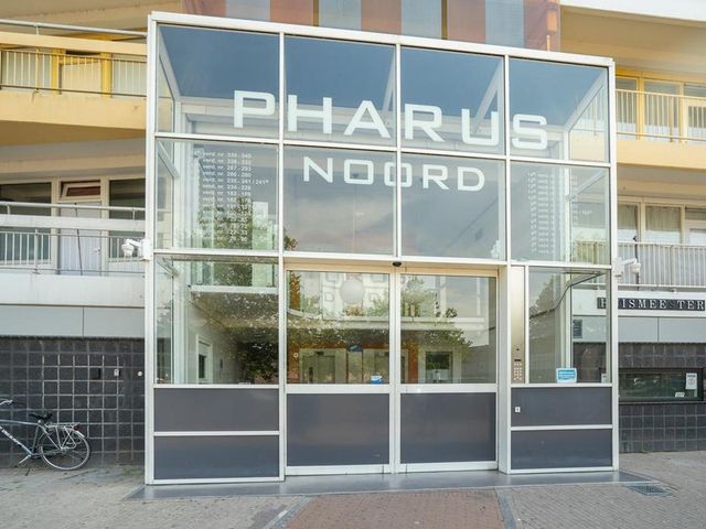 Pharus 22, Zaandam