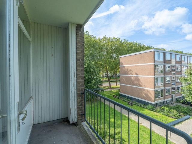 Plotinusstraat 63, Rotterdam