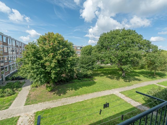Plotinusstraat 63, Rotterdam