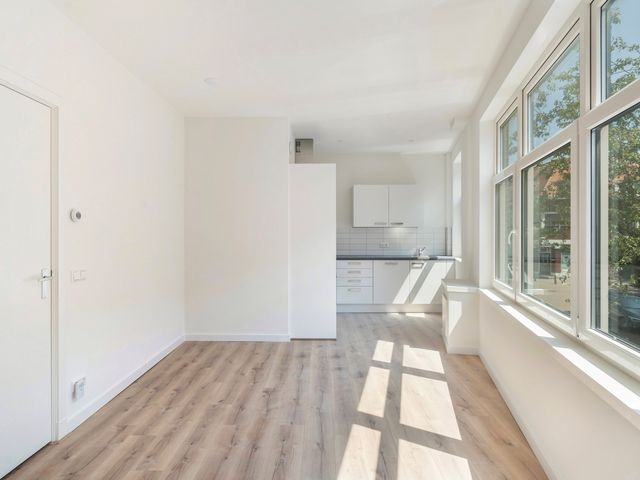 Willem van Hillegaersbergstraat 135B, Rotterdam
