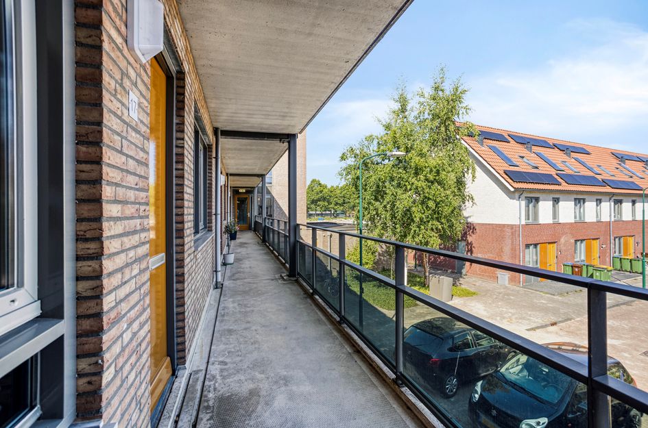 Vlindertuin 17
