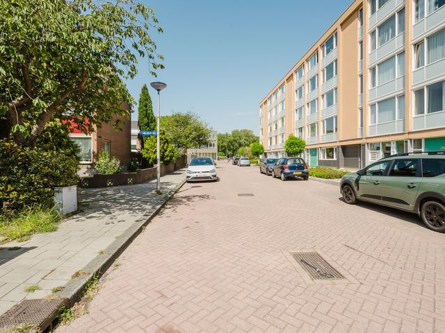 Ijsbloempad 11, Spijkenisse
