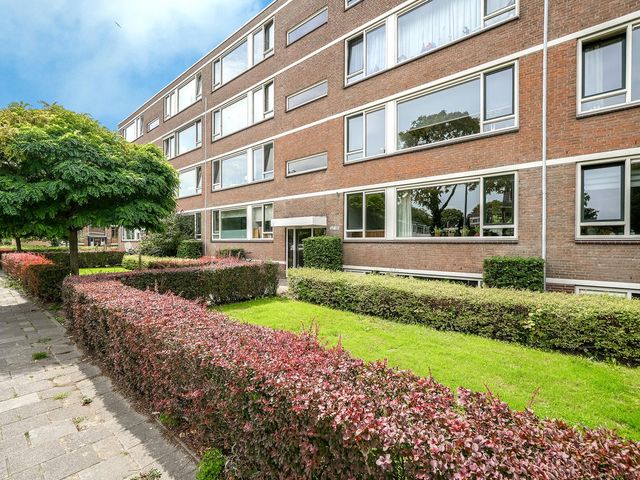 Bredenoord 167, Rotterdam