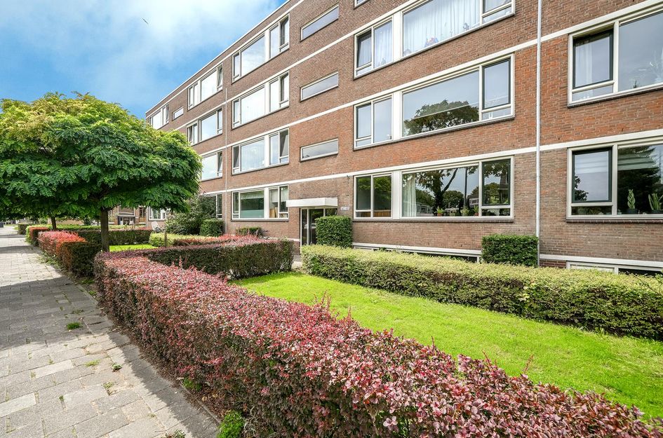 Bredenoord 167