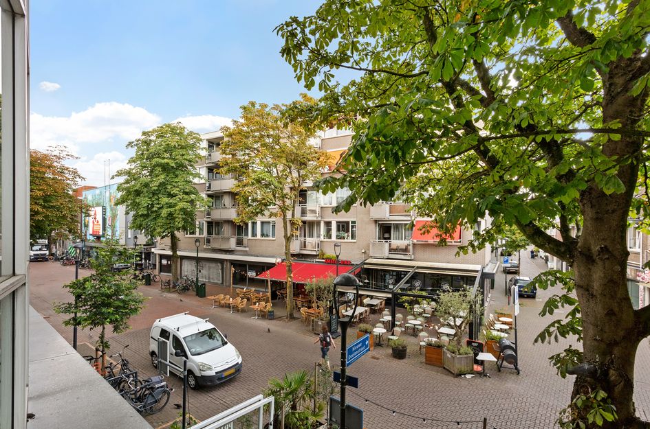 Groest 11C