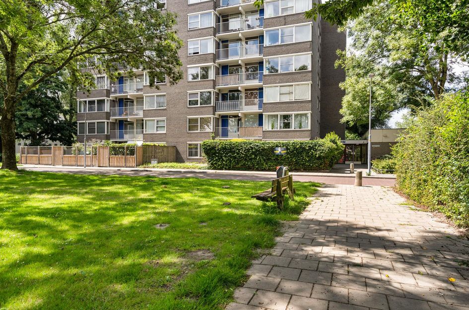 Graan voor Visch 17237