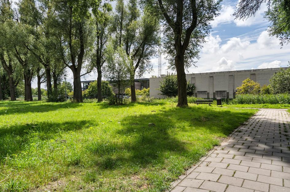 Graan voor Visch 17237